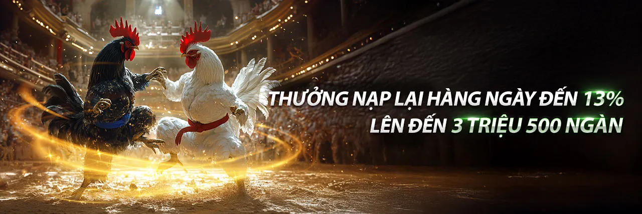 Sân vận động với trận đấu thể thao sôi động